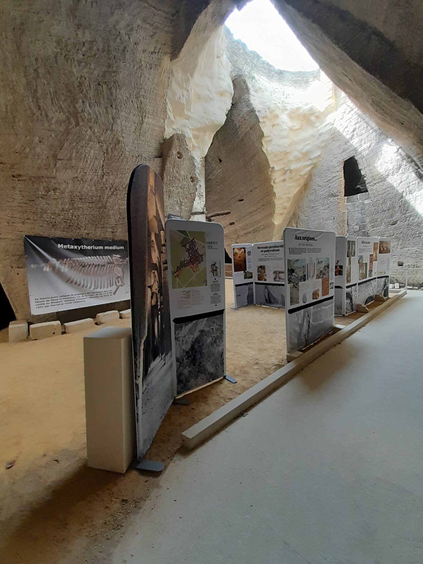 You are currently viewing Exposition temporaire : Les 1001 vies des troglos